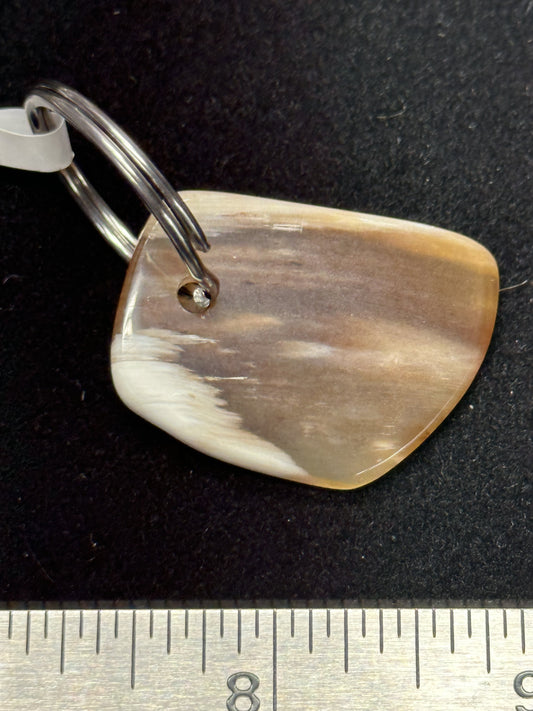 #0100 Petrified Wood keychain