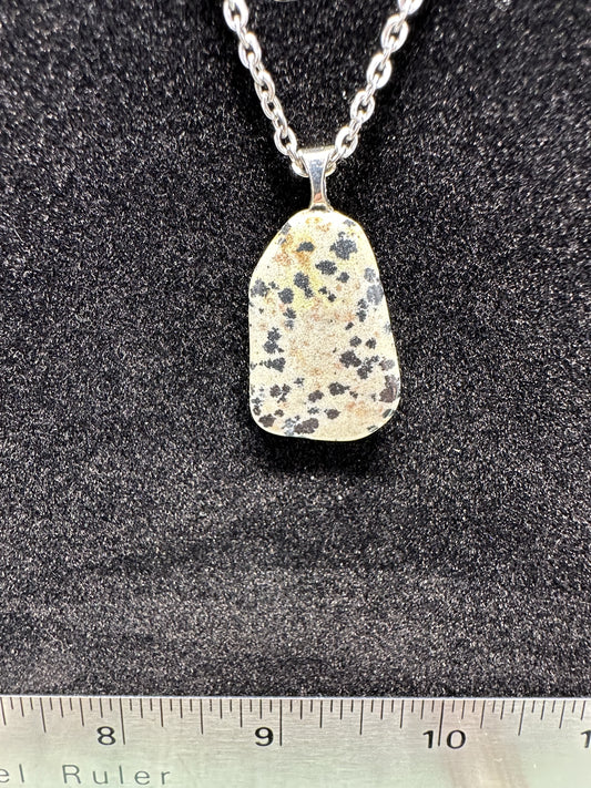 #0075 Dalmatian Jasper necklace